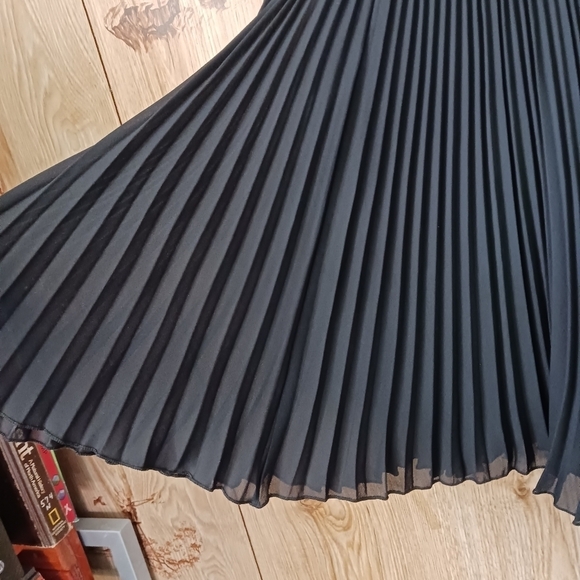 Vintage Accordion Pleated Black Circle Skirt - Picture 3 of 8